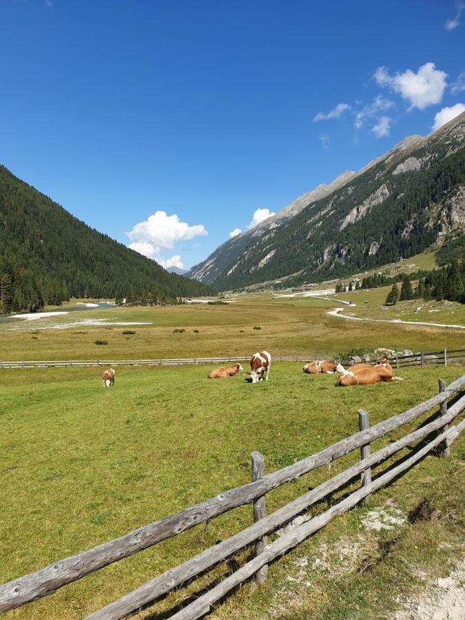 Haus Renswouw Hotel Hollersbach im Pinzgau Luaran gambar